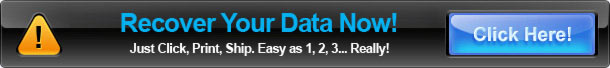Digital Image Recovery