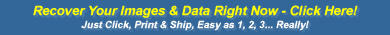 File recovery software*