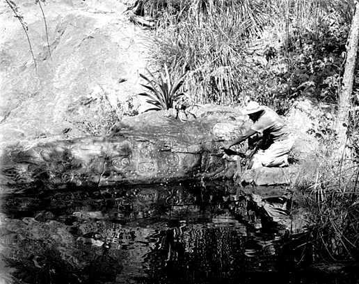 Real black-and-white 1960 photograph of the Reef Bay petroglyph rock and its pool, with a man kneeling at the far end of the carved panel