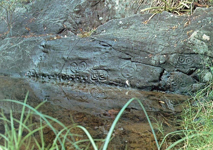 Real photograph of the Reef Bay petroglyph panel: double-spiral faces and a row of small pits carved in dark basalt above a still pool that reflects them